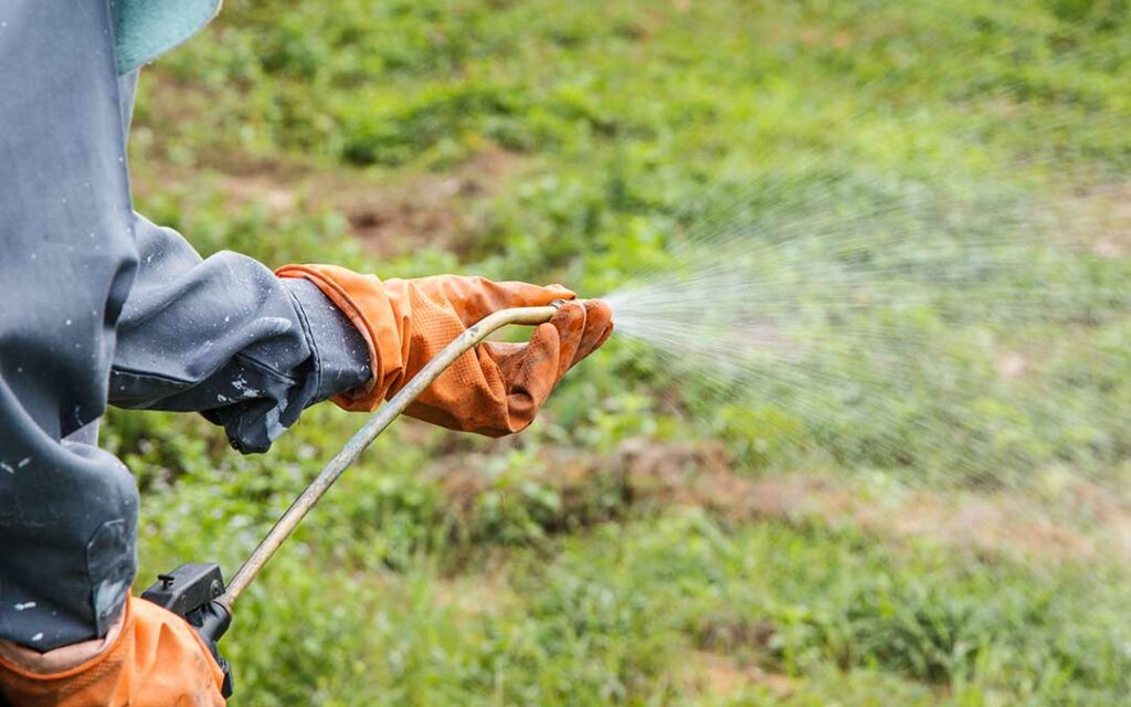 Roundup Risks May Go Beyond Cancer 4 Roundup Risks May Go Beyond Cancer
