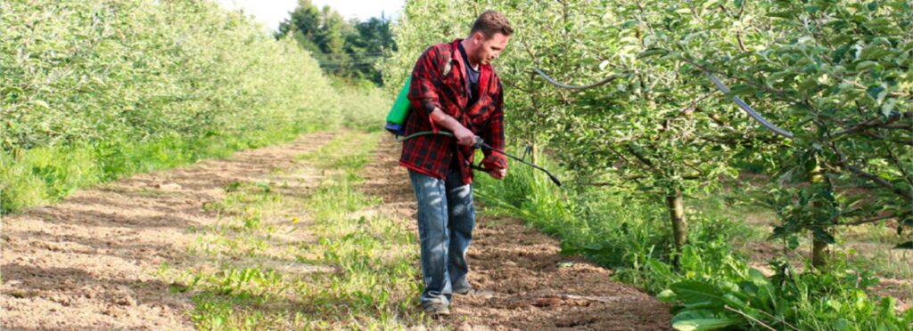 What You Need to Know About Roundup Cases 1 Roundup Weed Killer