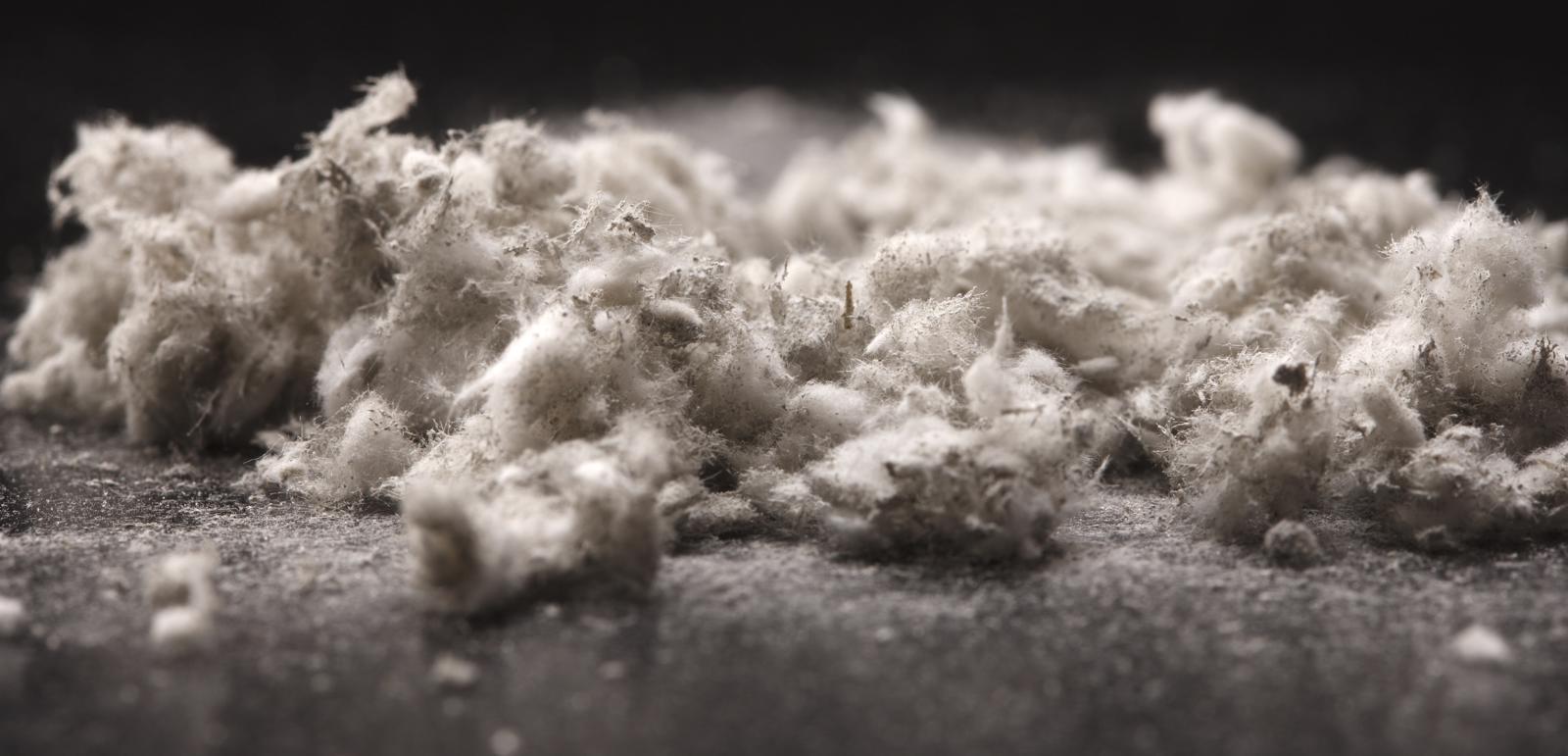 mesothelioma law suit